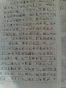 最懂我的一個(gè)人500字作文開頭結(jié)尾