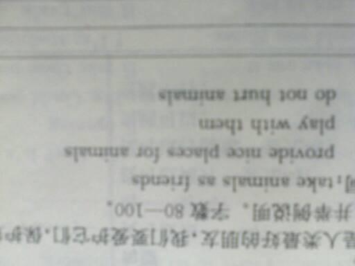 作文,英文,小動(dòng)物,開頭