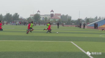 校園足球聯(lián)賽作文開頭