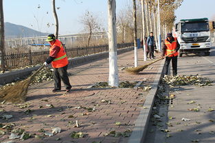 秋季落葉環(huán)衛(wèi)工人作文開(kāi)頭