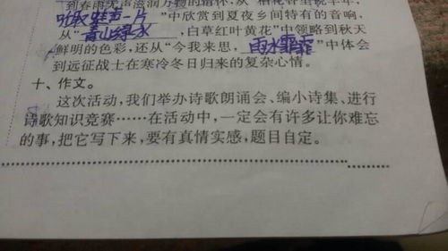 值得珍惜的友情450字作文開頭