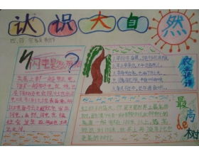 以感悟自然為話題的作文開(kāi)頭