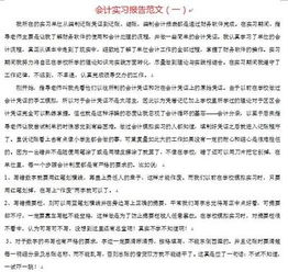 財(cái)務(wù)會(huì)計(jì)實(shí)踐總結(jié)報(bào)告范文(財(cái)務(wù)會(huì)計(jì)個(gè)人實(shí)習(xí)總結(jié)報(bào)告)