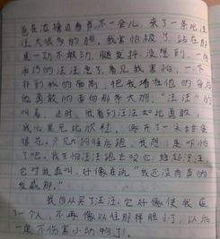 動物充滿愛的作文600字作文開頭