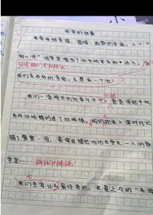 不幸的后果作文開(kāi)頭