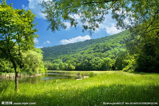 新校園新環(huán)境作文開(kāi)頭