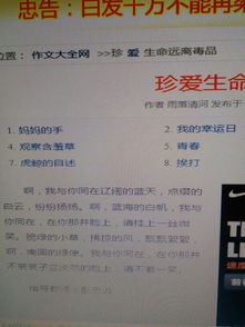 禁毒作文開(kāi)頭虎門(mén)