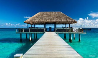 寫景抒情600字作文開頭