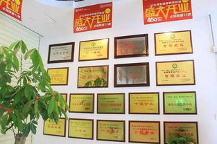 我有一個溫馨的家作文開頭