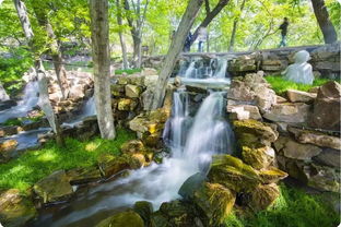 游馬陵山作文開(kāi)頭,照片,游馬陵山的作文,游馬陵山作文400字左右四年級(jí)