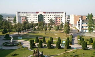 我的難忘回憶作文開頭結(jié)尾