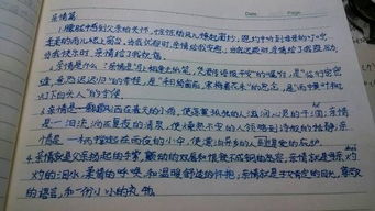 最美的幸福作文開頭結(jié)尾