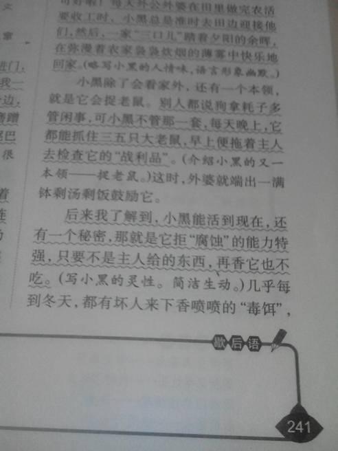 關于寫小動物的作文 (關于寫小動物的作文)