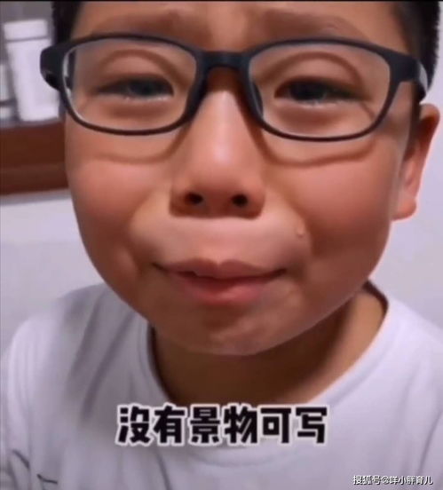 訓(xùn)練哭的作文開頭