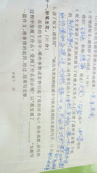 沙坡頭400字作文開(kāi)頭