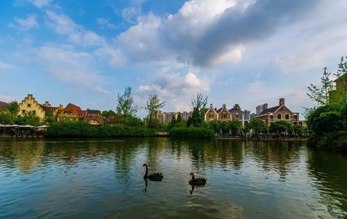 推薦南湖公園的作文開(kāi)頭