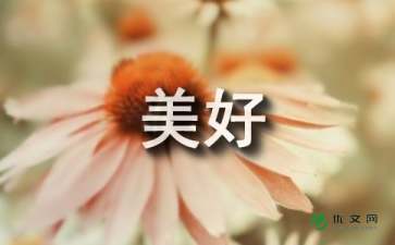 在這里遇見美好作文600字作文開頭