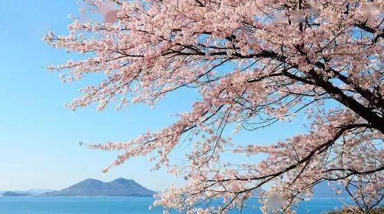 不愿(不愿離別不愿說再見作文)