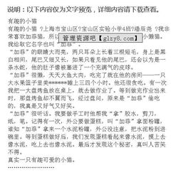 我的玩具貓作文開頭