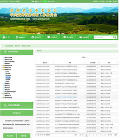 政務網(wǎng)站的自查報告(政務網(wǎng)站自查報告)