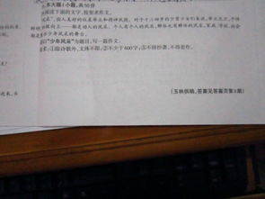 關(guān)于風(fēng)采的作文：少年風(fēng)采(關(guān)于少年風(fēng)采作文（精選）)