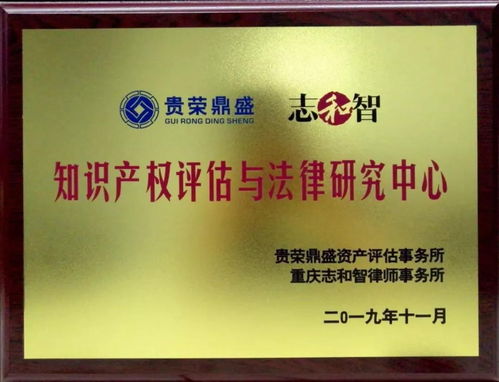 最新無形資產(chǎn)評估報告范文(最新無形資產(chǎn)評估報告范例)