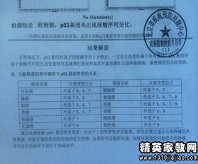 關于規(guī)范辦學自查報告(關于規(guī)范辦學行為的自查報告)