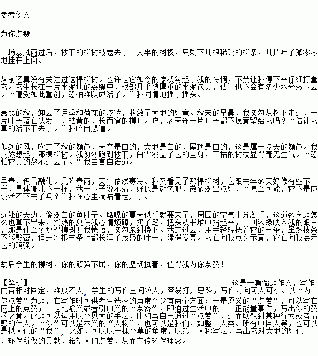 以為我點贊為題寫一篇作文開頭