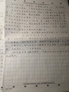 生活要有詩和遠方作文800字作文開頭