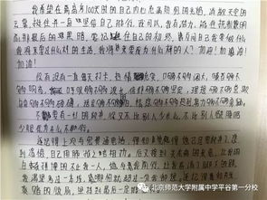 作文,開頭,不負(fù),韶華