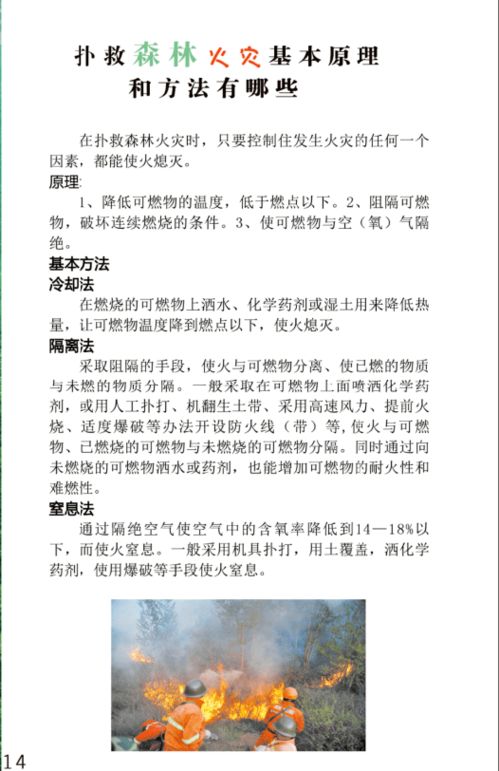 關(guān)于森林防火作文的好開頭