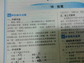 我與廉潔同行作文好開頭