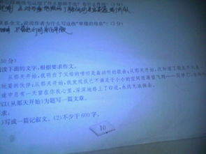 關(guān)于友情作文開頭題記