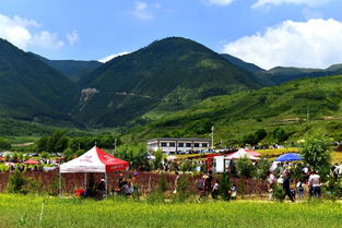 這邊的風(fēng)景獨(dú)好600字作文開頭