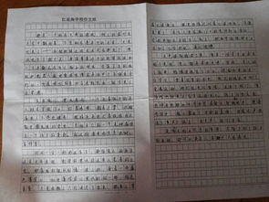 介紹和描寫朋友600字作文開頭