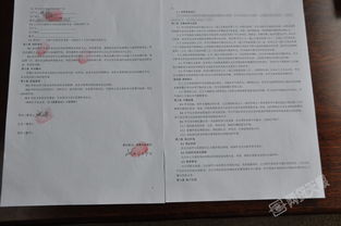 參觀考察報告(學校參觀考察報告)