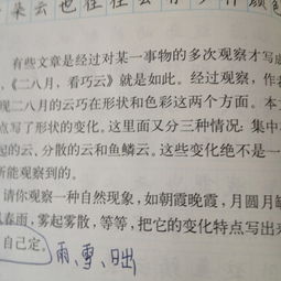 描寫雪的作文的開頭