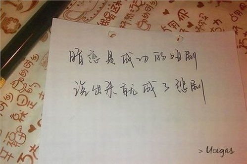 眼神觸動(dòng)我的心500字作文開(kāi)頭