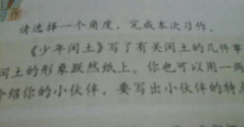 五級寫人寫物的作文開頭結尾