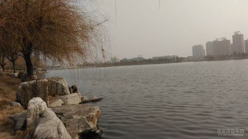 我家鄉(xiāng)的景物一東湖公園作文好開頭