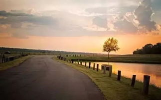 惜時作文的開頭結(jié)尾