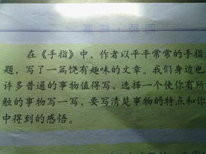 身邊發(fā)現(xiàn)美的作文開頭怎么寫