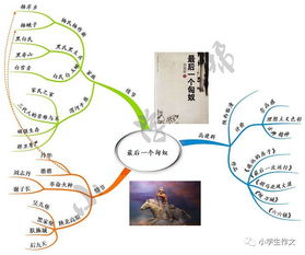 描寫(xiě)外貌描寫(xiě)外貌的作文開(kāi)頭