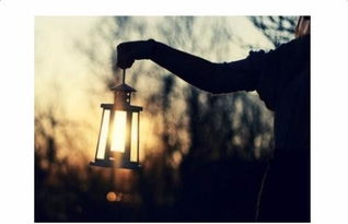 感謝那個(gè)為我提燈的人作文開(kāi)頭和結(jié)尾