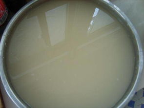 做涼皮作文開頭