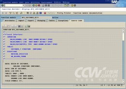 sap是什么(sap 簡歷)