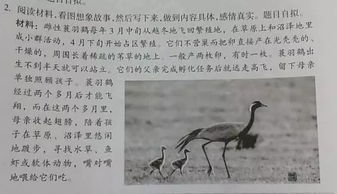 關(guān)于動物的想象作文(關(guān)于動物的想象作文)