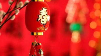 春節(jié)氣氛感悟作文開頭