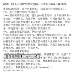 村調(diào)研報(bào)告()