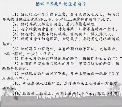 他___了作文優(yōu)美的開頭結(jié)尾